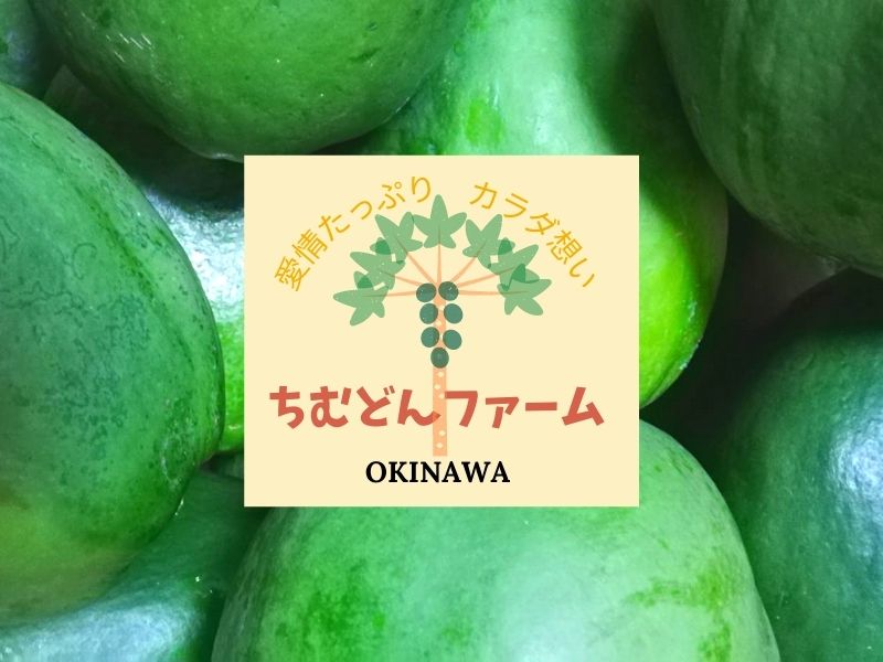 【ちむどんファーム】沖縄県産の青パパイヤを栽培している「ちむどんファーム」です＼(^o^)／