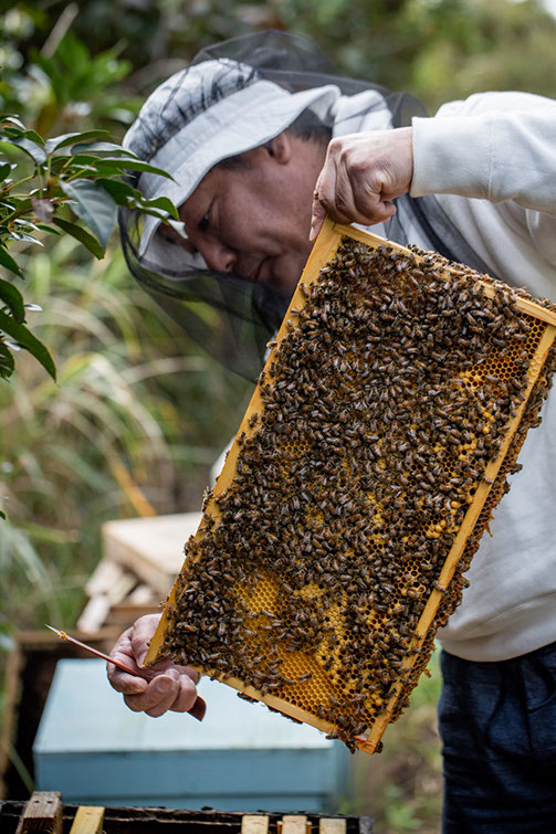 【Honey Bee 蜂優】27年前に始まったミツバチとの日々