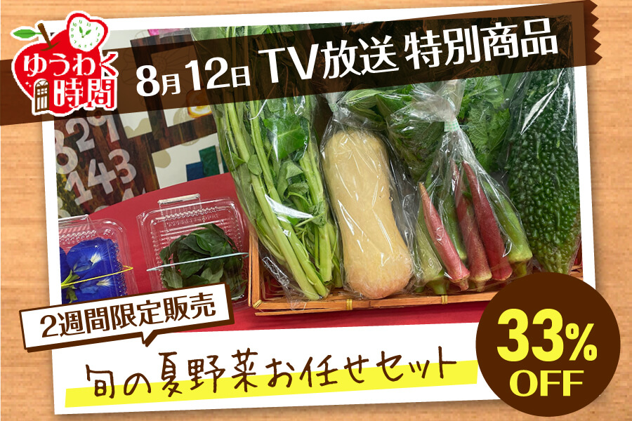 【TV番組特別商品】朝採れ新鮮！無農薬で作った「旬の夏野菜お楽しみBOX」80サイズ☆２週間限定販売！