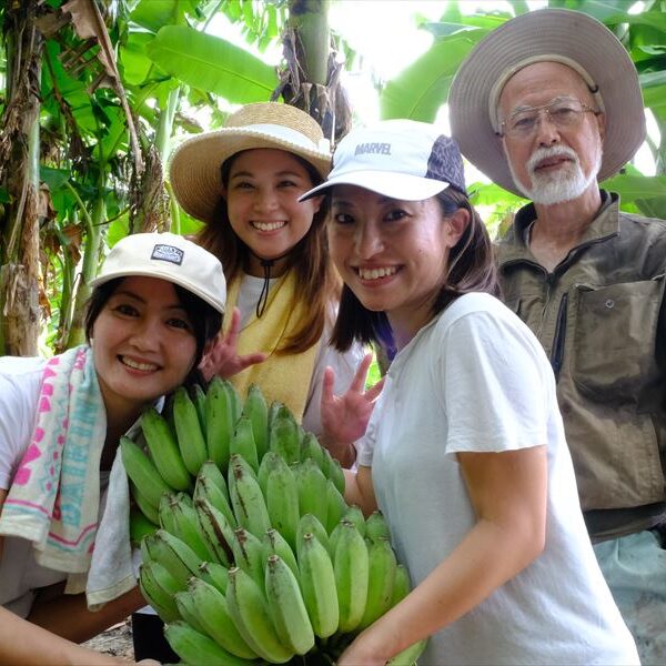 【ゆいまーる活動 #3】うちなー自然栽培ファーマーズさんでバナナ収穫のお手伝いをしました