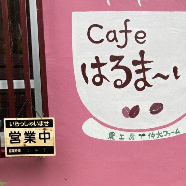 【仲大ファーム】伊平屋島で農家とカフェ「はるま～い」を営んでます♪