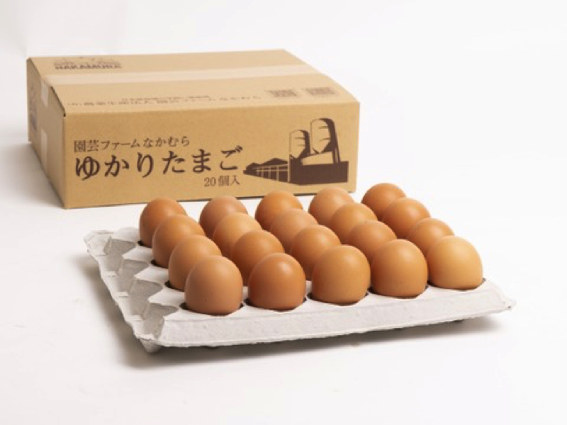 【園芸ファーム・なかむら】エッグいお祭り！東京で開催される「卵フェス」へ出店してきます！！