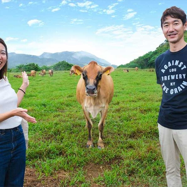 【石垣島】ジャージー牛を愛してやまない、南の島の酪農家が生み出す極上の乳製品