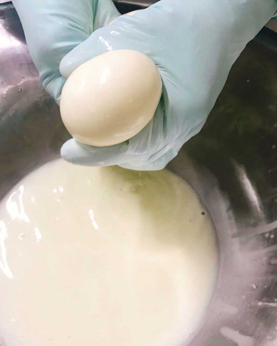 チーズは発酵のタイミングによって味が左右されます