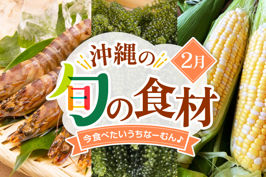 【2月】今、美味しい！沖縄県民に食べてほしい旬の県産品（まーさむん）