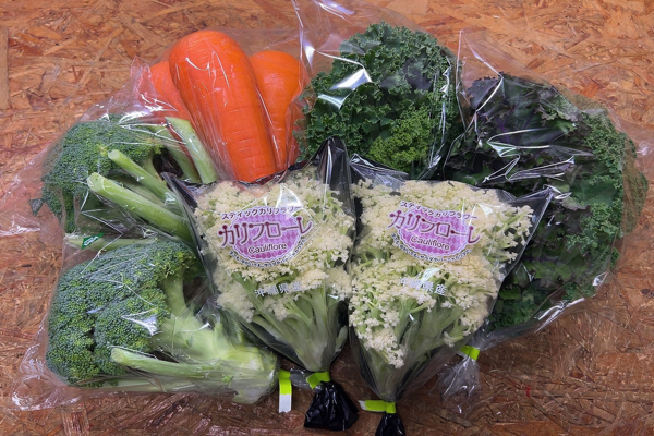 【徳元農園】限定50個！旬の冬野菜セットがまもなく販売開始です！