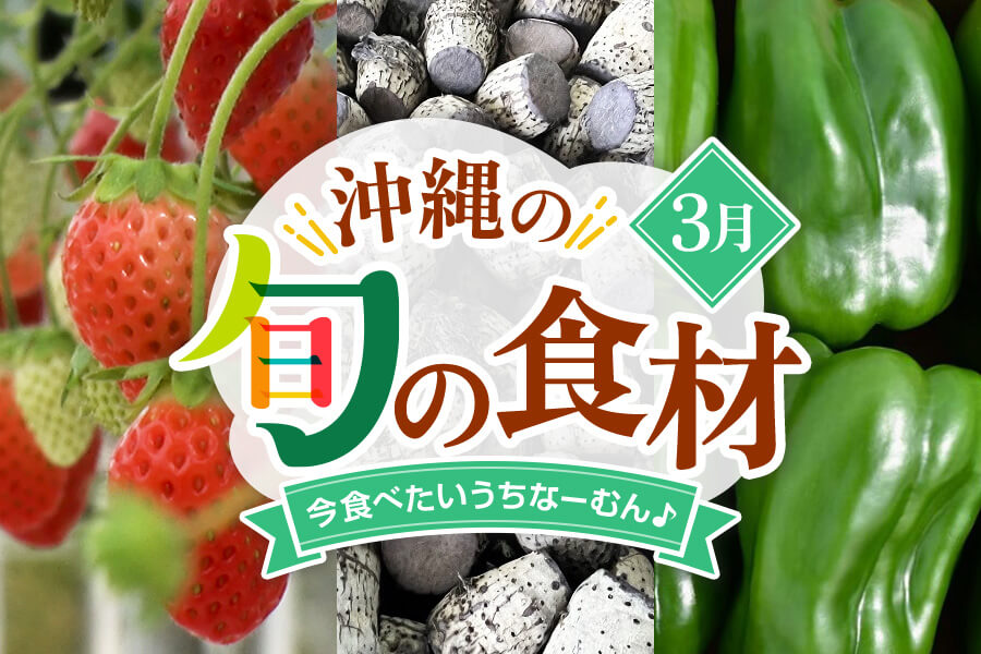 【3月】今、美味しい！沖縄県民に食べてほしい旬の県産品（まーさむん）