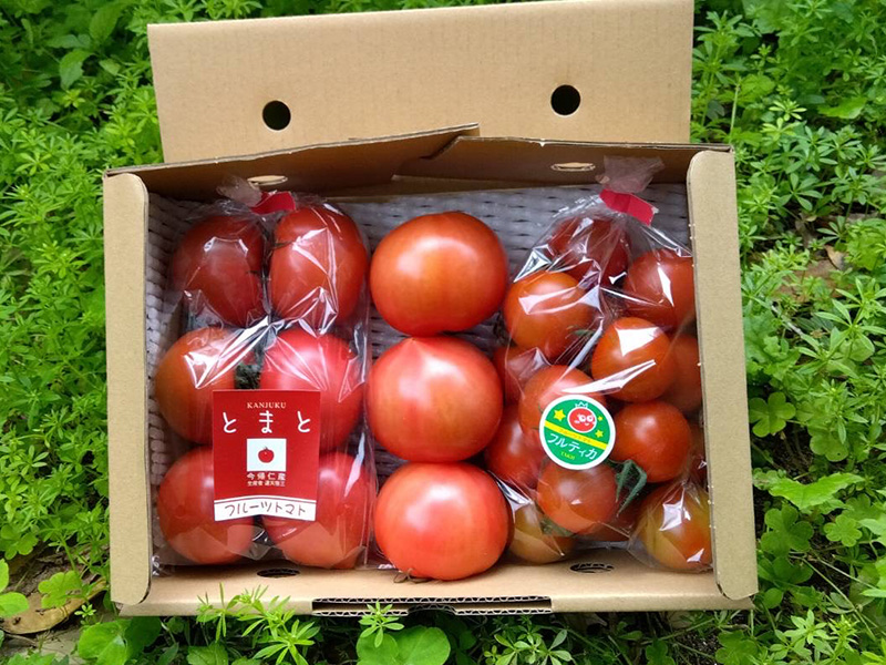【沖縄県産品】毎日食べたい県産トマト