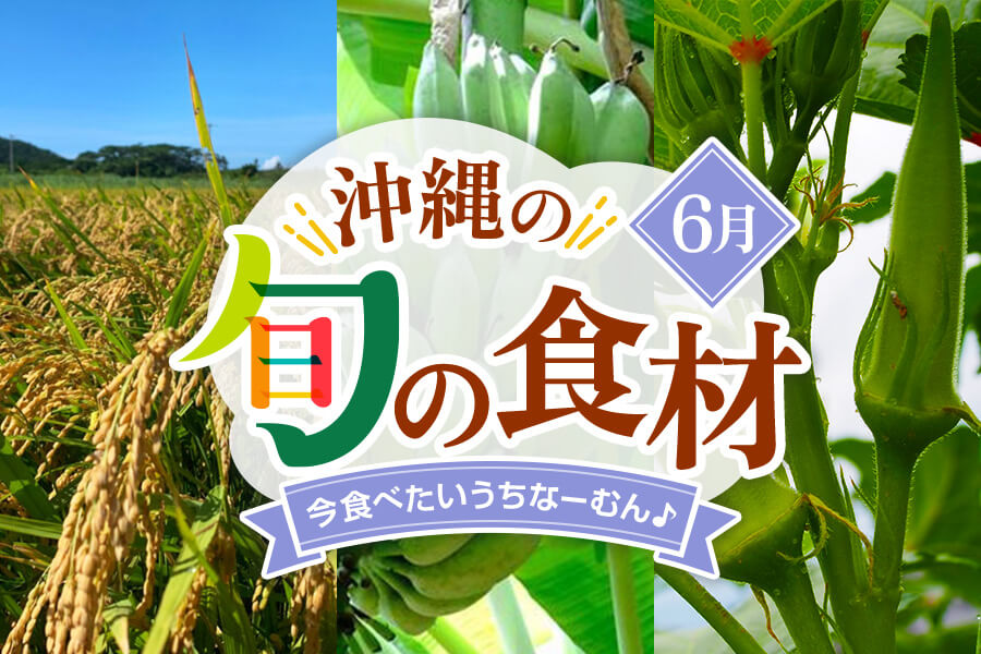 【6月】今、美味しい！沖縄県民に食べてほしい旬の県産品（まーさむん）