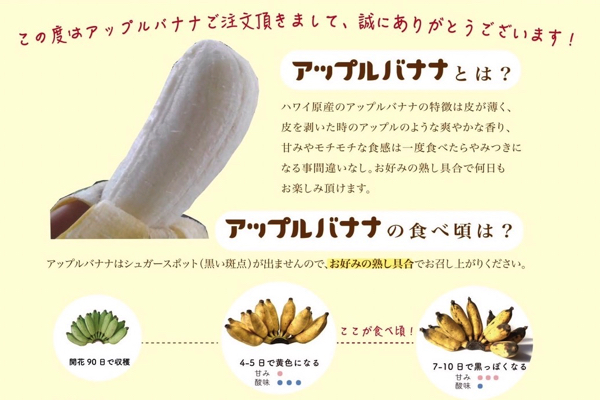 【マルエスファーム】アップルバナナ販売ストップのお知らせ