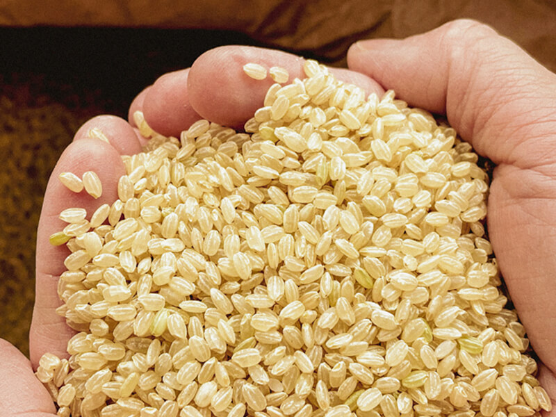 【みやぎ米穀】いよいよ新米収穫開始！☆お米マイスターが伝授！お米の正しい炊き方