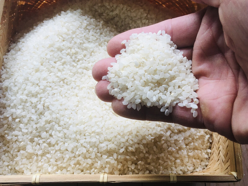 【みやぎ米穀】いよいよ新米収穫開始！☆お米マイスターが伝授！お米の正しい炊き方