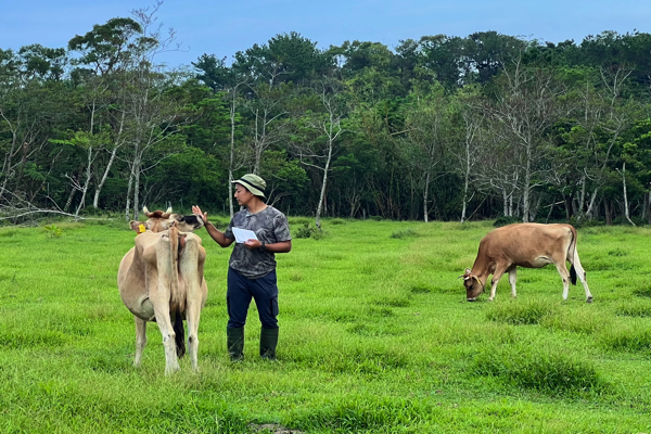 【INAHO FARM】牛への愛情たっぷり感じた キャッチー生中継の裏側！