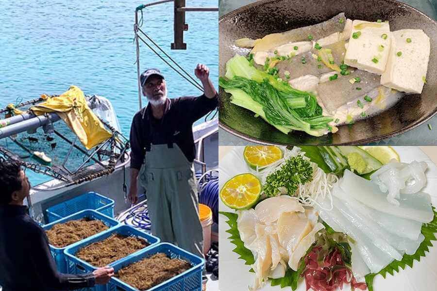 【20％OFF】伊平屋島の恵みが詰まった海鮮セット／伊平屋村漁業組合